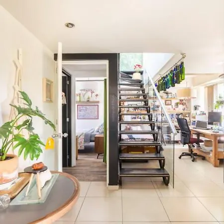 Pequena Habitacion Frida - Design Cdmx - Areas Comunes Compartidas