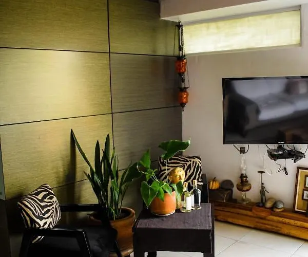 Pequeña Frida - Design Cdmx - áreas Comunes Compartidas *