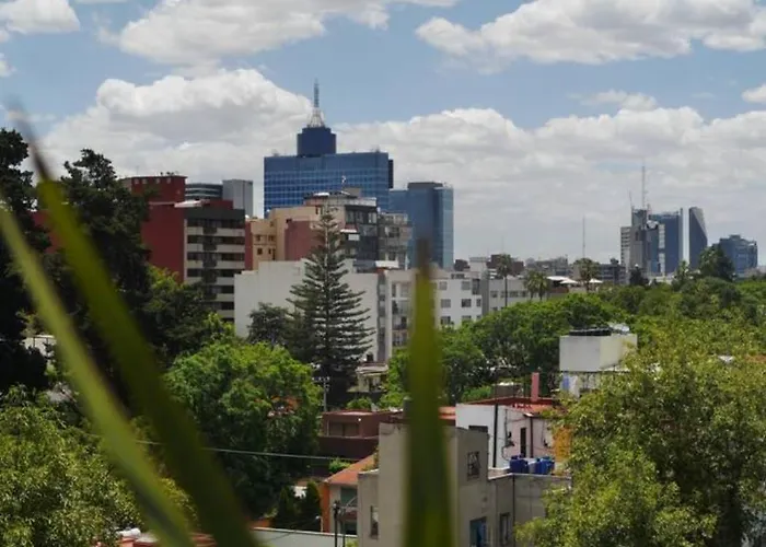 Pequeña Frida - Design Cdmx - áreas Comunes Compartidas México DF