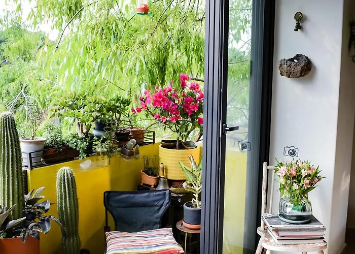 Pequeña Frida - Design Cdmx - áreas Comunes Compartidas Habitación en casa particular